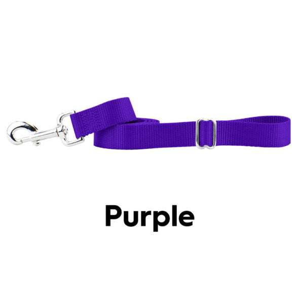 2 Hounds Design Nylon Dog Leash-Store For The Dogs