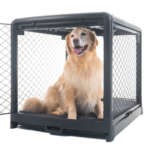 Diggs Revol Double Door Collapsible Wire Dog Crate-Store For The Dogs