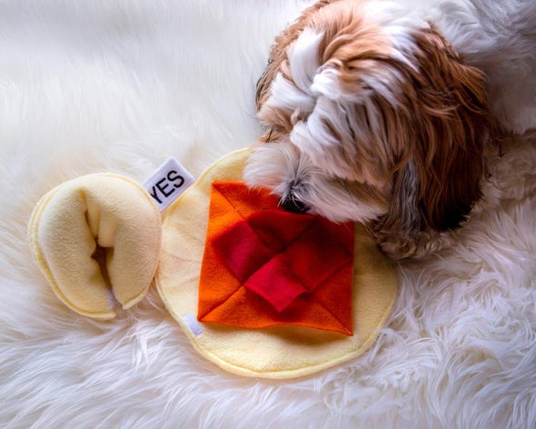 DogNmat Fortune Cookie Snuffle Mat-Store For The Dogs