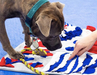Why You Don’t Need High-Tech Dog Toys: Meet the Snuffle Mat
