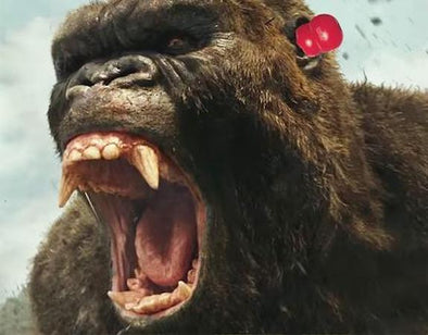 8 Things You Never Knew About The Kong