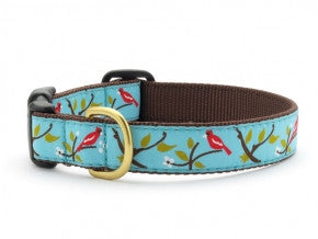 Designer Leashes and Collars By Upcountry