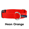 2 Hounds Design 1" Side Release Nylon Dog Collar-Store For The Dogs