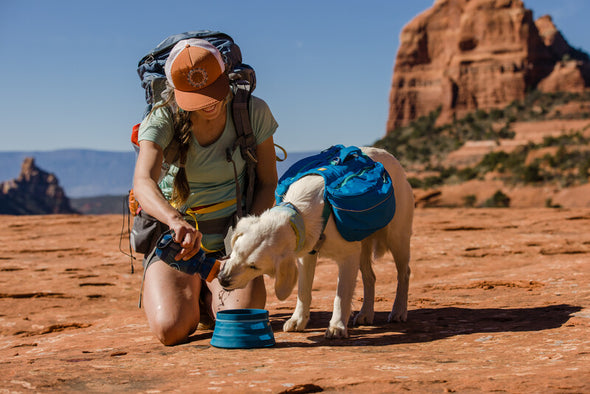 Ruffwear Approach™ Dog Backpack-Store For The Dogs