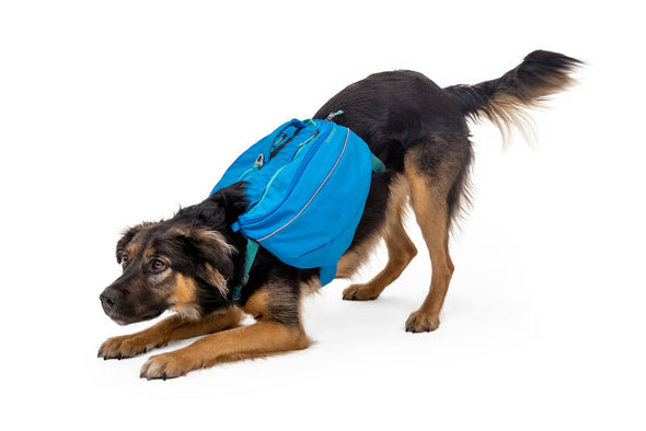 Ruffwear Approach™ Dog Backpack-Store For The Dogs