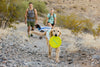 Ruffwear Camp Flyer™-Store For The Dogs