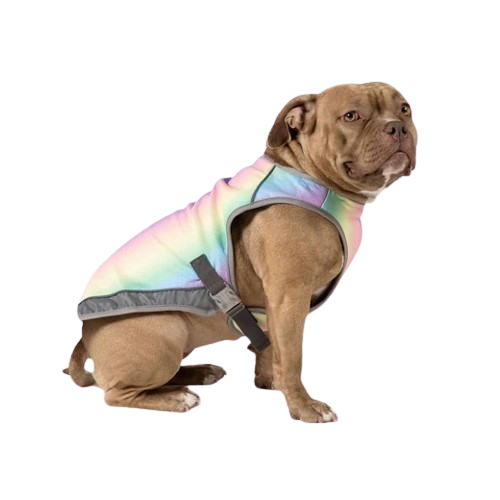 Canada Pooch Chill Seeker Dog Cooling Vest-Store For The Dogs