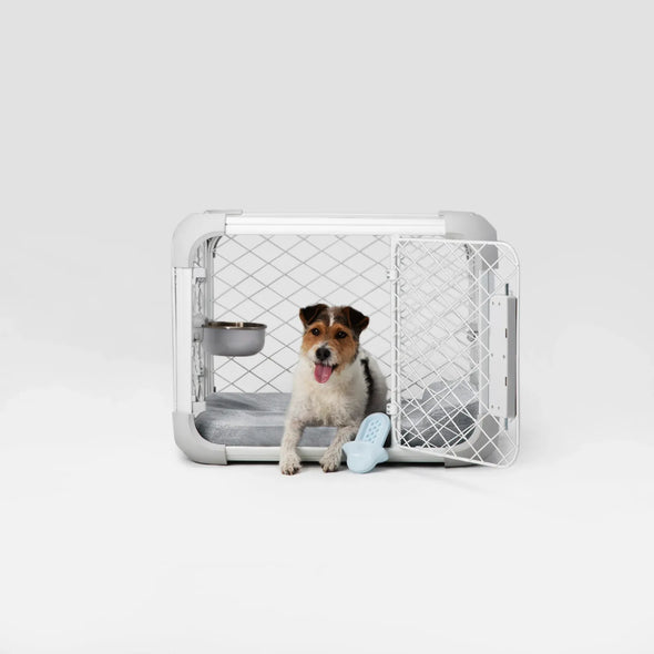 Diggs Bolstr Dog Bed-Store For The Dogs