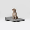 Diggs Bolstr Dog Bed-Store For The Dogs