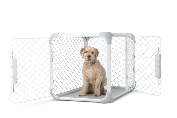 Diggs Evolv Crate For Dogs-Store For The Dogs