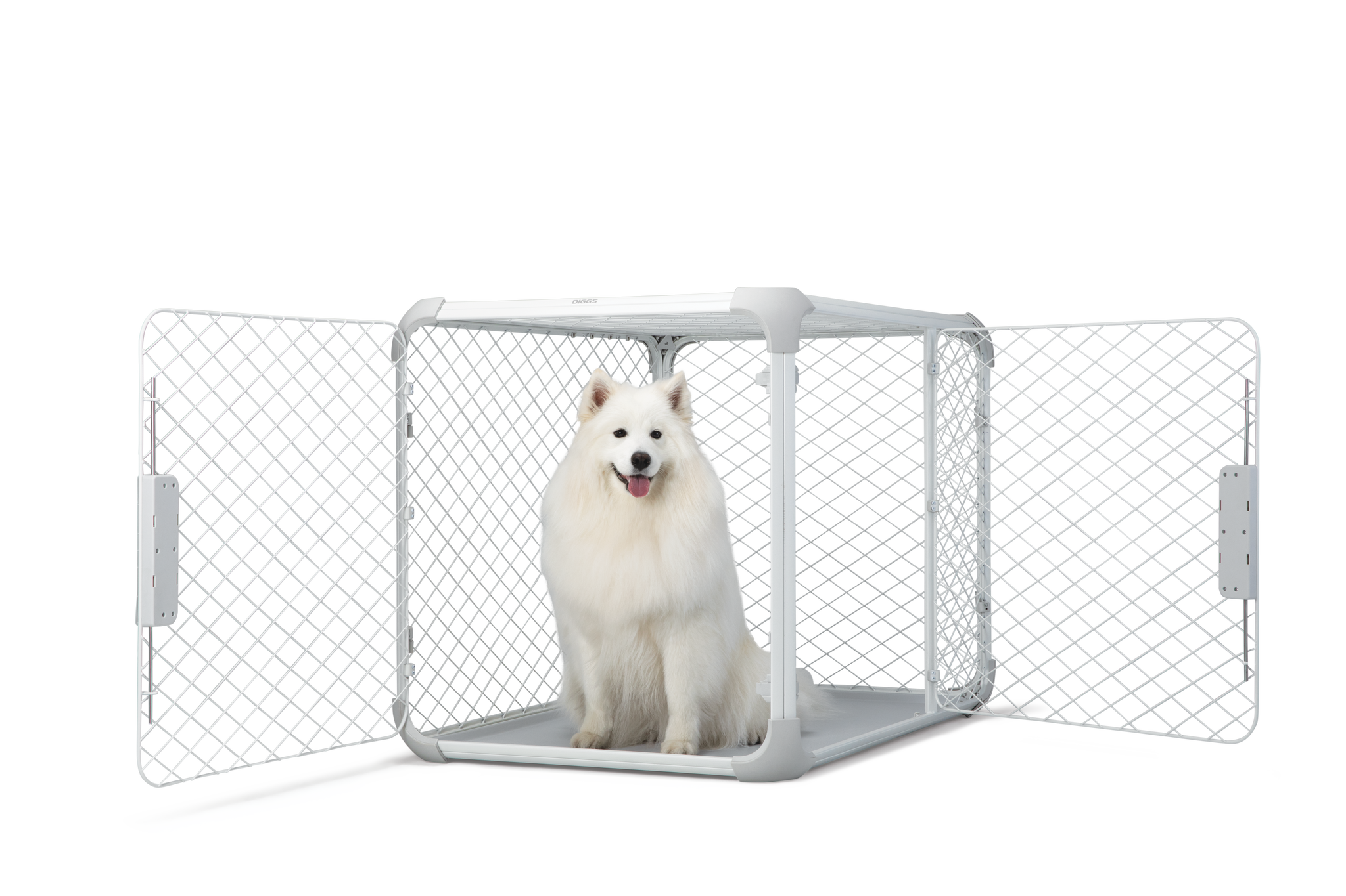 Diggs Groov Lickable Crate Training Tool – Rover Store