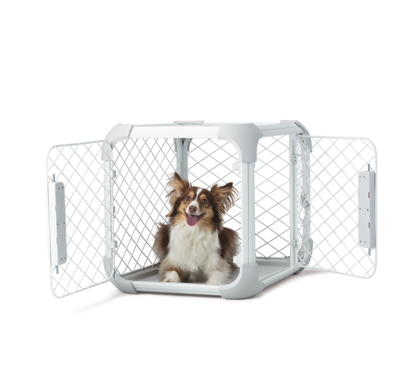 Diggs Evolv Crate For Dogs-Store For The Dogs