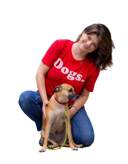 "Dogs." Women's Shirt-Store For The Dogs