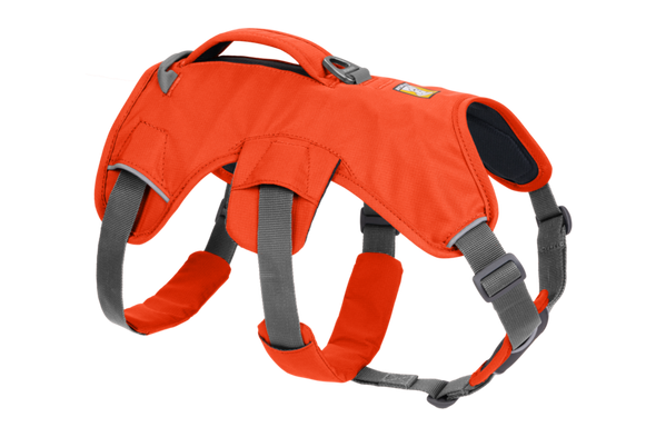 Ruffwear Web Master™ Dog Harness with Handle-Store For The Dogs