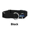 2 Hounds Design 1" Buckle Martingale Nylon Dog Collar-Store For The Dogs