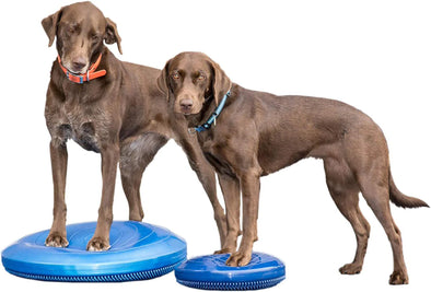 FitPAWS Dog Balance Disc-Store For The Dogs