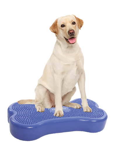 FitPAWS K9FITbone Dog Training Balance Platform - Original-Store For The Dogs