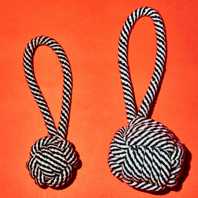 Ware of the Dog Rope Knot Toy-Store For The Dogs