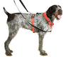 Blue-9 Balance Harness Buckle Neck-Store For The Dogs
