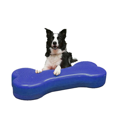 FitPAWS Dog K9FITbone Dog Training Balance Platform - Giant-Store For The Dogs