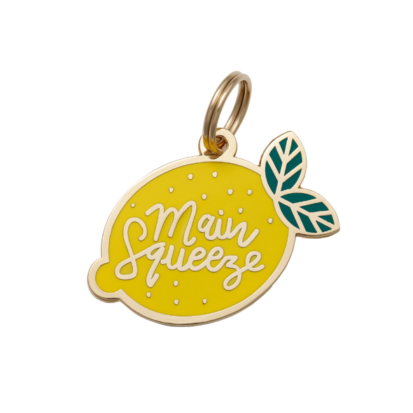 Two Tails Pet Company "Main Squeeze" Personalized Dog & Cat ID Tag-Store For The Dogs