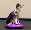 FitPAWS Twindisc Dog Balance Training Pad-Store For The Dogs