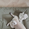 Lambwolf Collective NOU Cream with Squeakers Snuffle Toy-Store For The Dogs