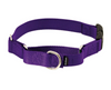 PetSafe Adjustable Martingale Collar with Buckle-Store For The Dogs