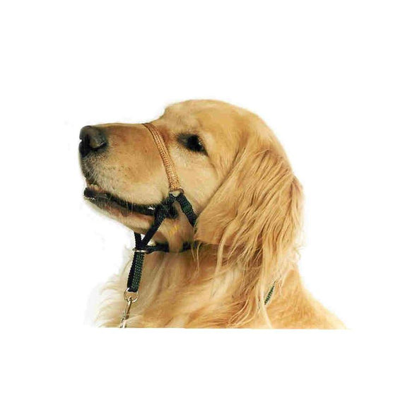 Training Unlimited Comfort Trainer Head Halter-Store For The Dogs
