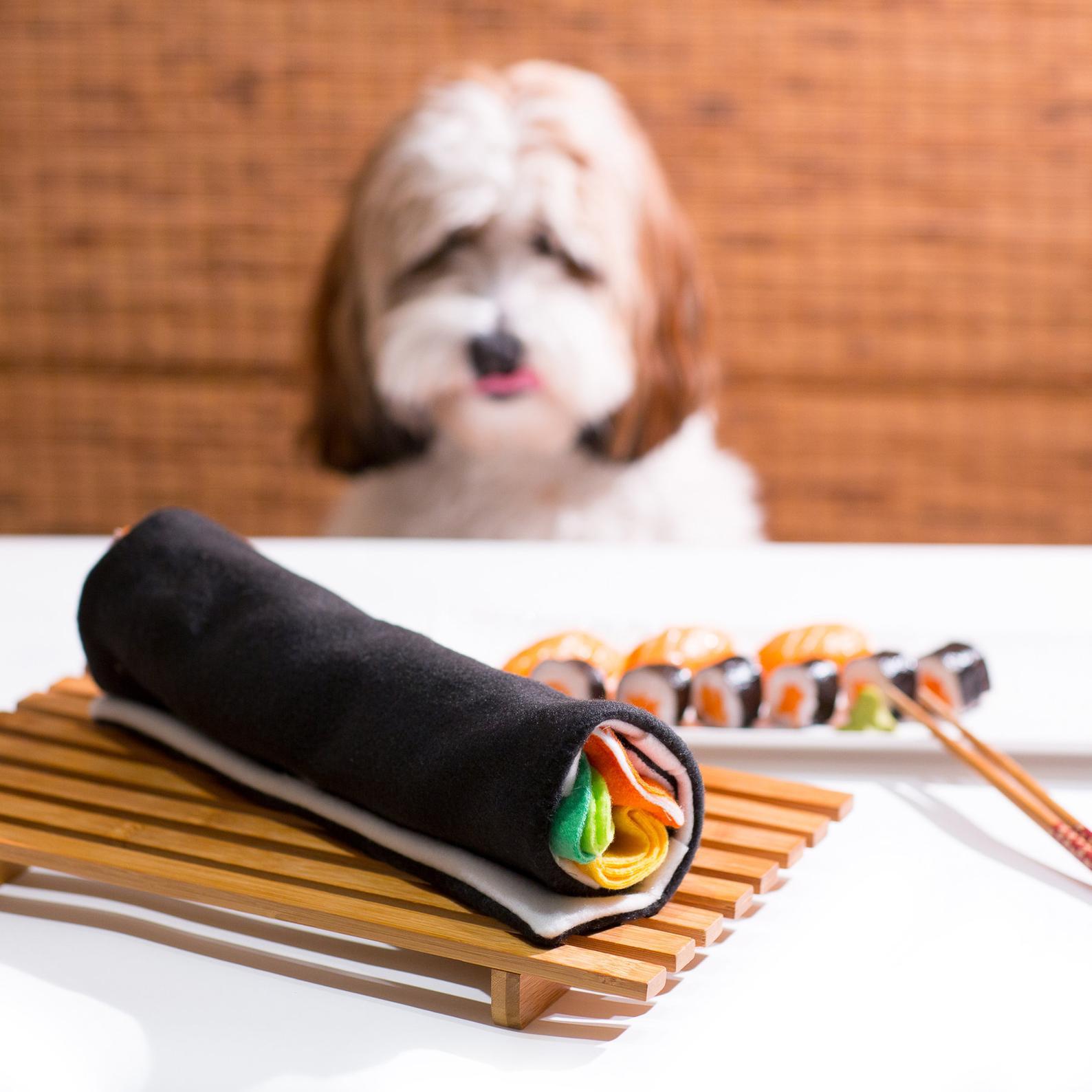 PawRoll Dog Snuffle Feeding Mat – Paw Roll