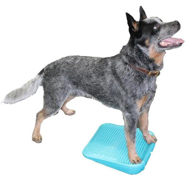 FitPAWS Dog Balancing Ramp-Store For The Dogs