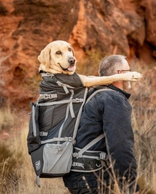 Dog backpacks