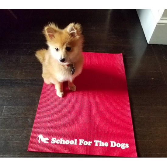 School For The Dogs Training Mat-Store For The Dogs